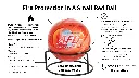 Fire-Ball.webp