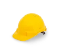 Proguard Safety hemet